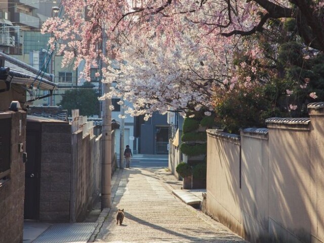Japão