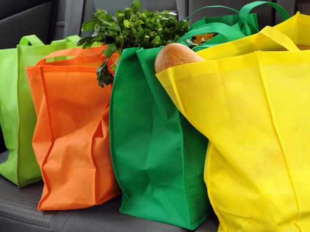 Ecobags (sacolas ecológicas reutilizáveis)