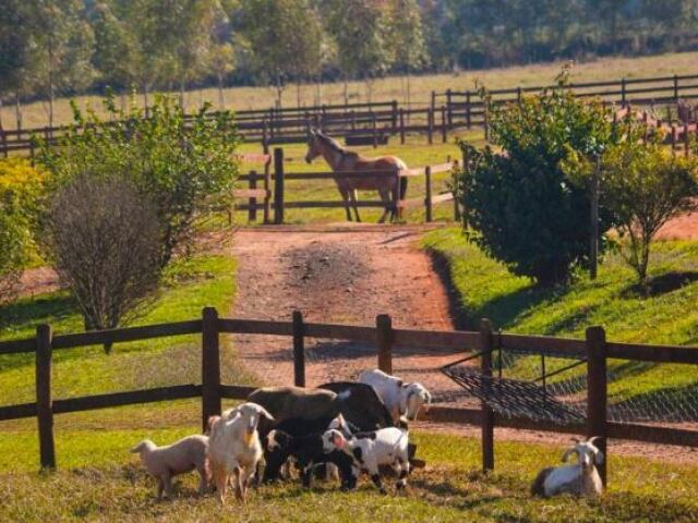 Fazenda