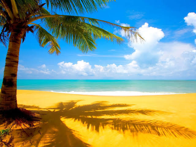 Verão
Um sol faz bem pra todo mundo