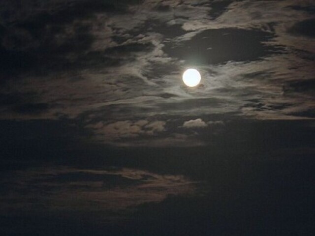 Noite