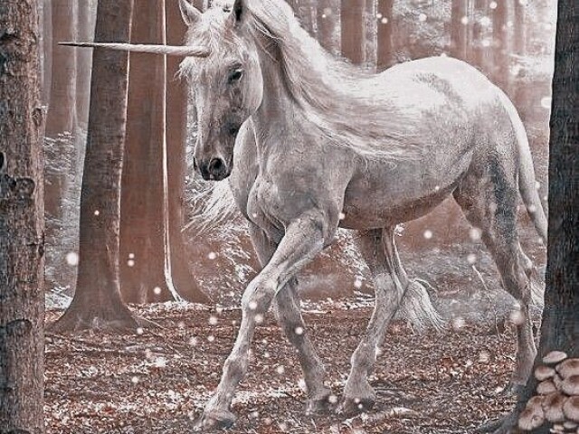 Unicórnio ✨: animais fabuloso e amigáveis, símbolo de força e pureza, mas cuidado você não pode montar nele pois são animais de livre arbítrio. São bastante reconhecido pelos seus impressionante poderes mágicos, Sua comida favoritas são: Queijos ou doces, eles vão brincar com você e te salvar do perigo sem resitar!.