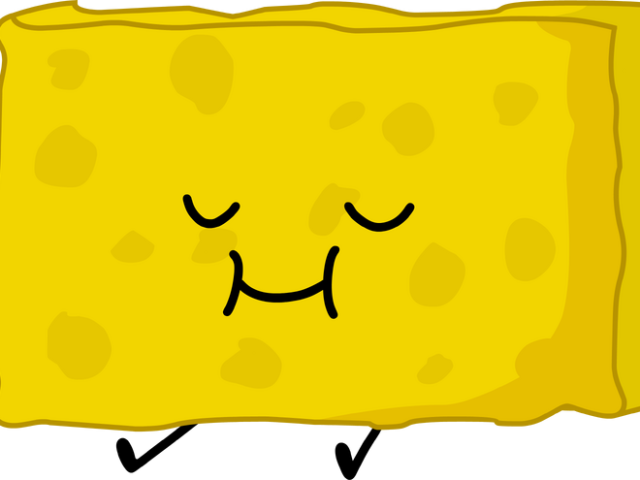 sponge