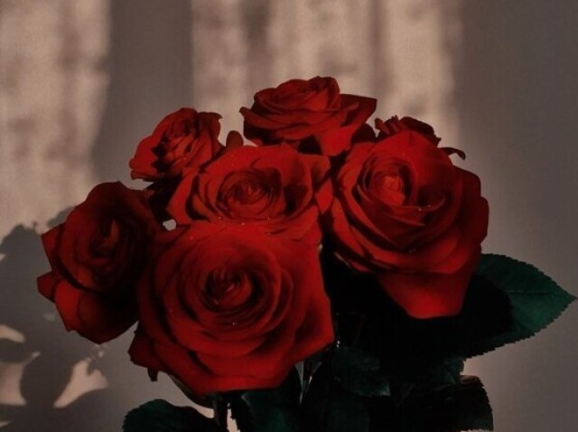 Rosas e LĂrios