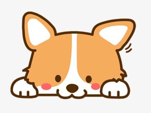 cachorro
