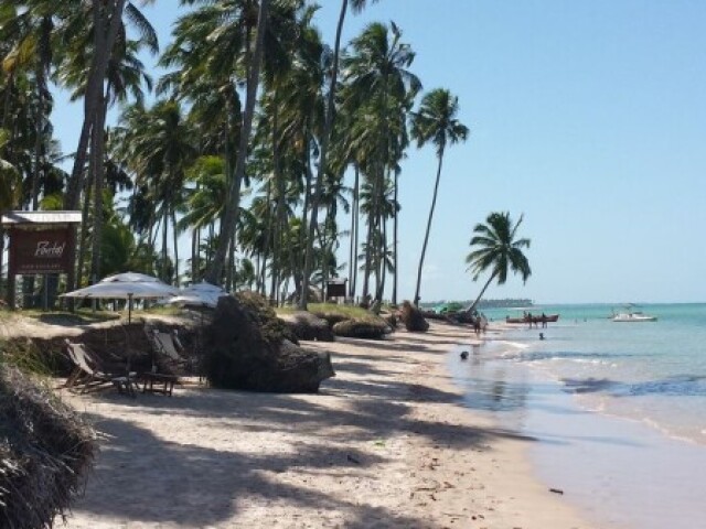 Praia
🥥🌊🌴🦀