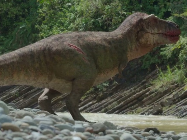 Tyrannosaurus.