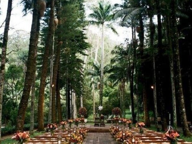 Salão de festas na selva, com grande diversidade em fauna e flora.