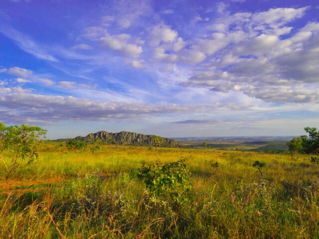 Cerrado