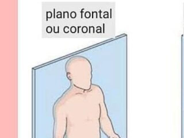 Plano Frontal