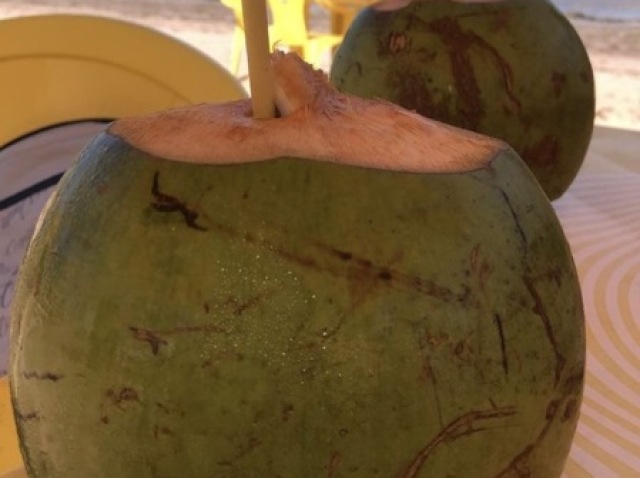 Água de coco 🥥