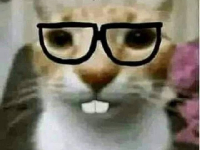 gato nerdola