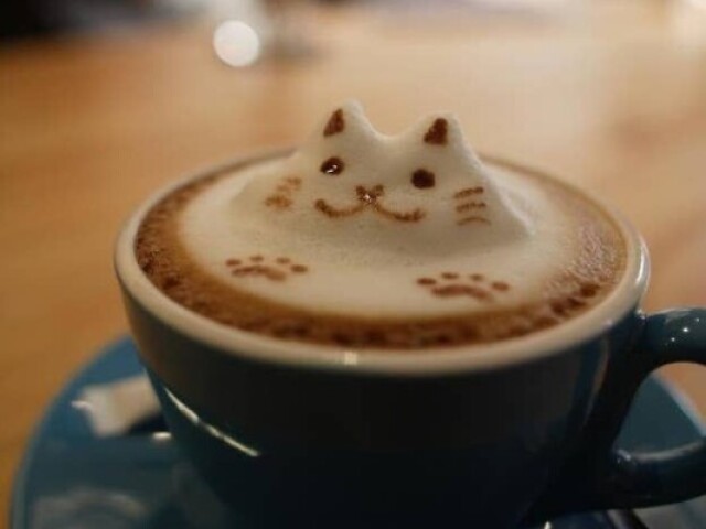 Café gatinho~