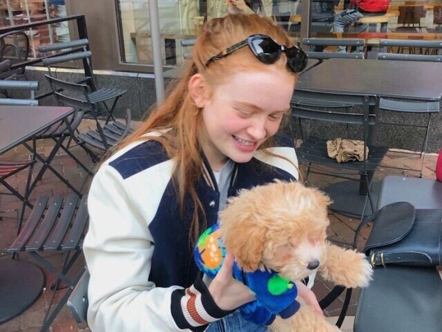 sadie sink