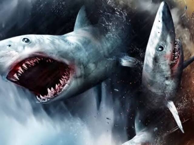 Sharknado KKKKKKKK