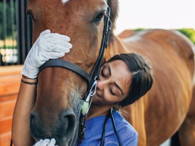 Veterinária