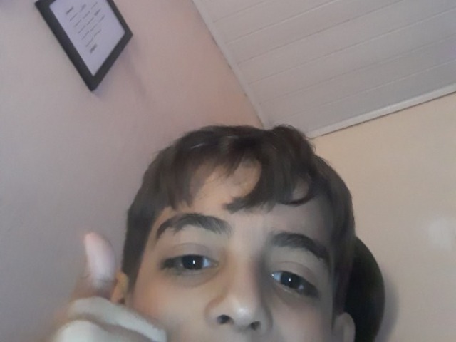 Sim