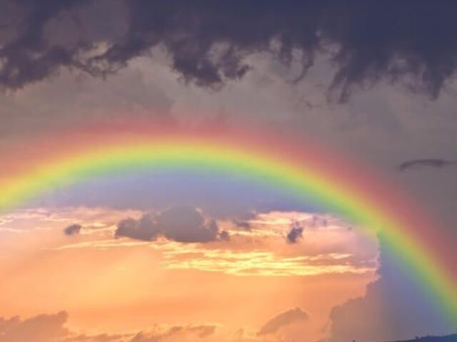 Gosto de muitas cores, não tenho preferencia.