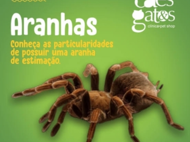 Aranha 🕷