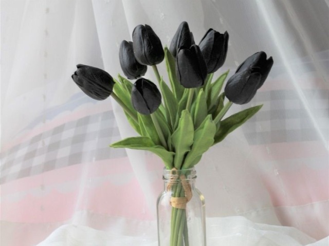 Black tulip