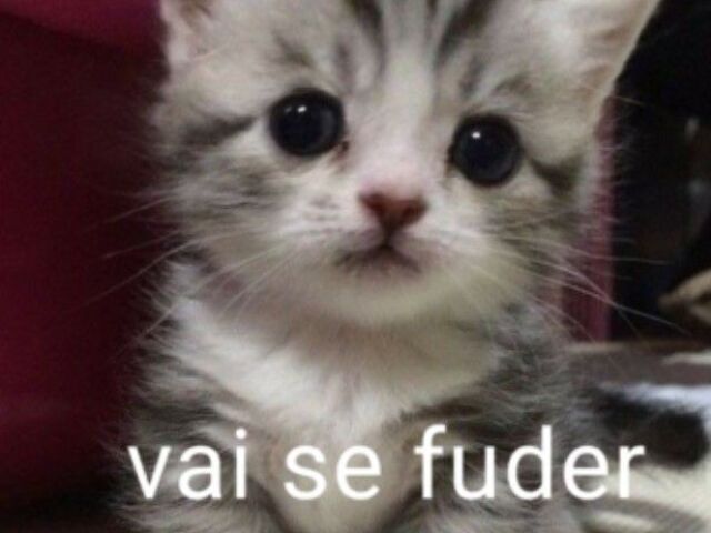 deus me livre de compania!!! π€‘ππ