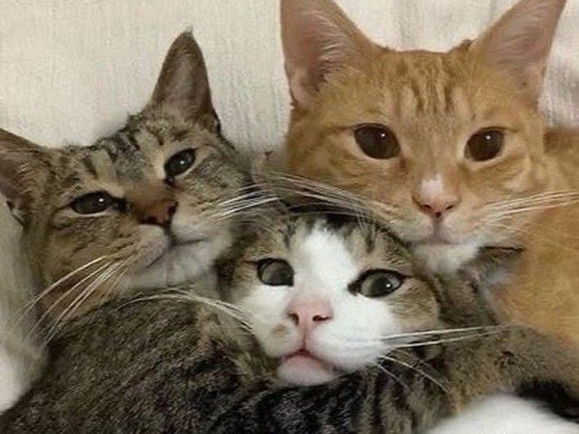 ta um cu ππΌ