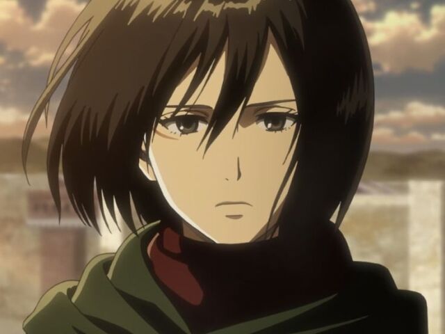 mikasa