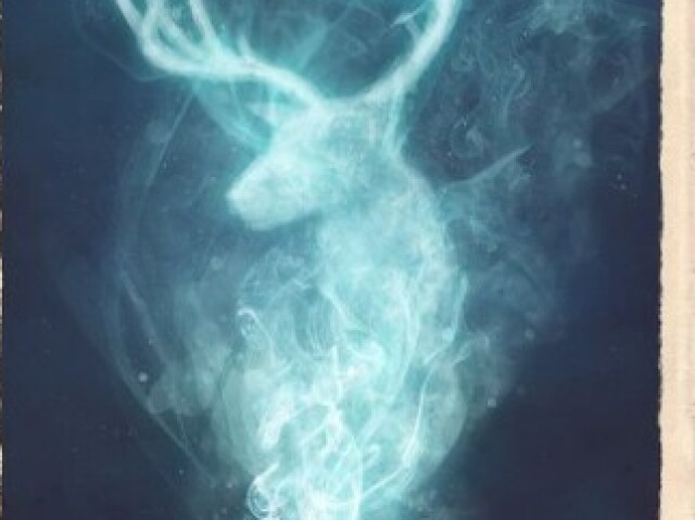 Patronum Expecto