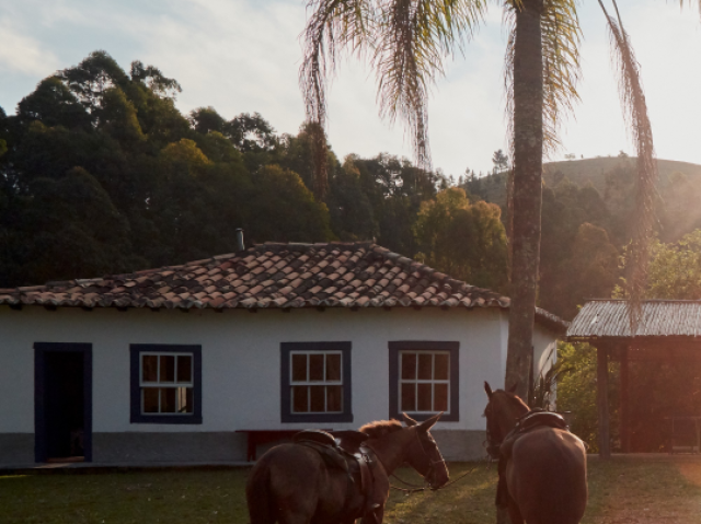 Na fazenda mesmo