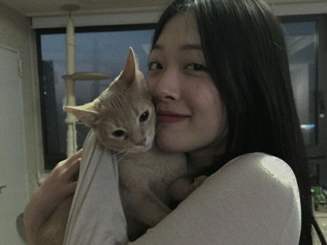 Sulli