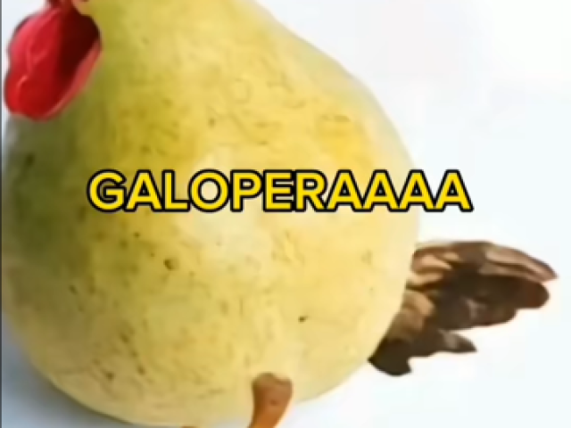 Galoperaaaa