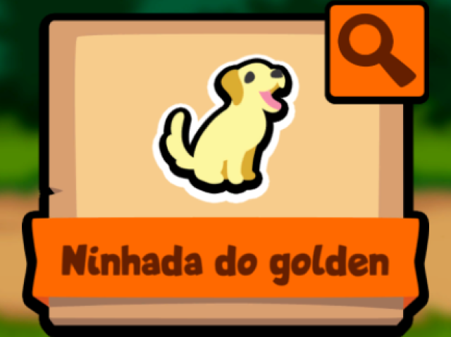 Ninhada do Golden