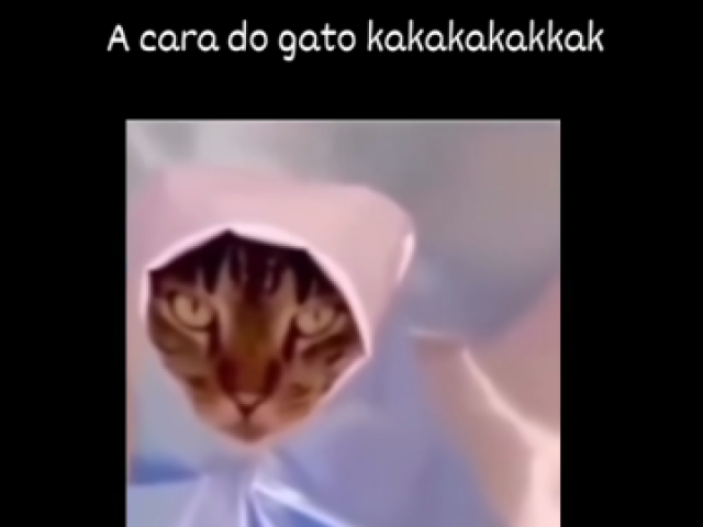 Ter uma sobrinha