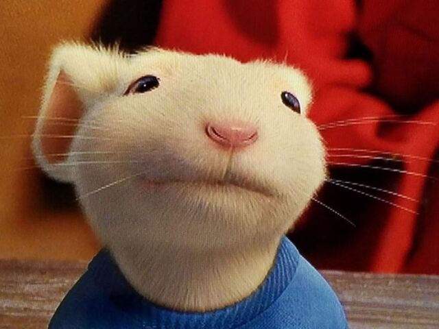 O pequeno stuart little (1999)