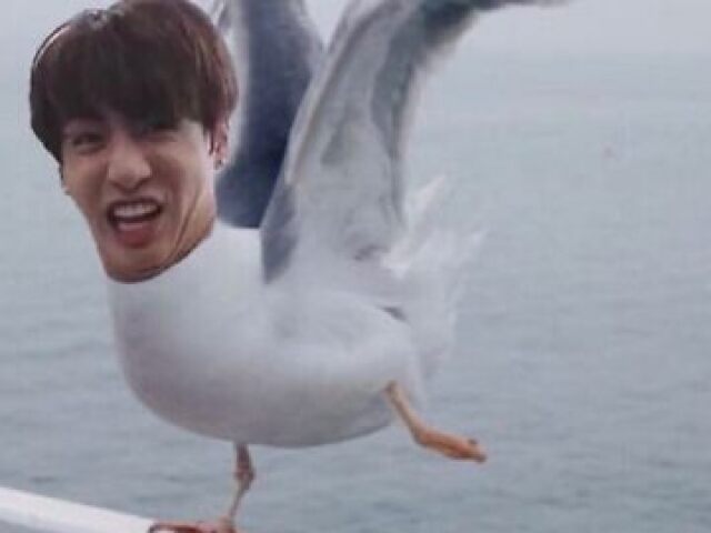 Justin Seagull