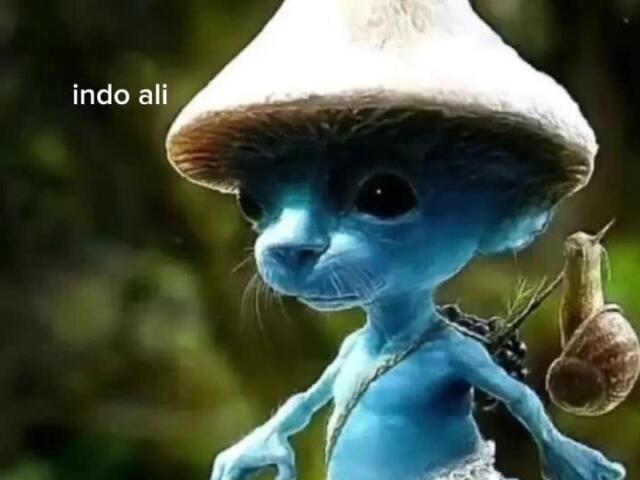 Indo Ali Indo Ali Indo Ali | Quizur