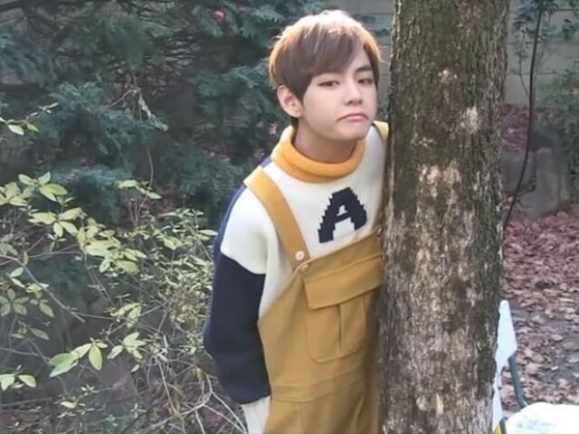 taehyung, ele disfarçou bem quando você olhou!!