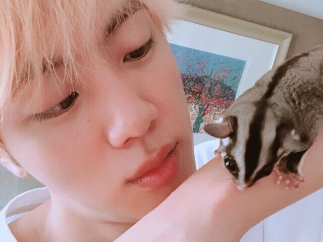 jin te mostrando o bichinho dele lindinho