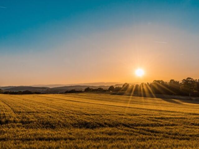 ir para o campo