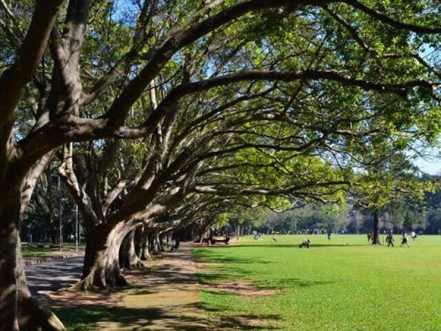 Faço alguma atividade ao ar livre