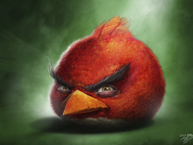 Angry birds realista