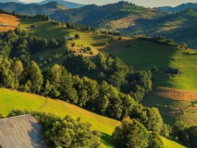 Campo/fazenda