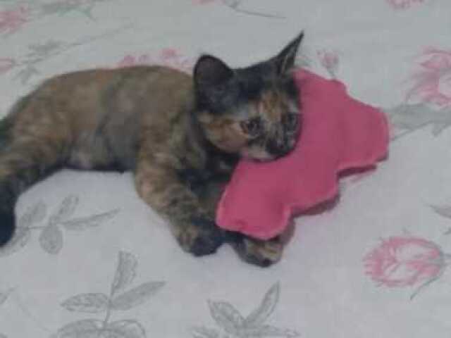 Lily