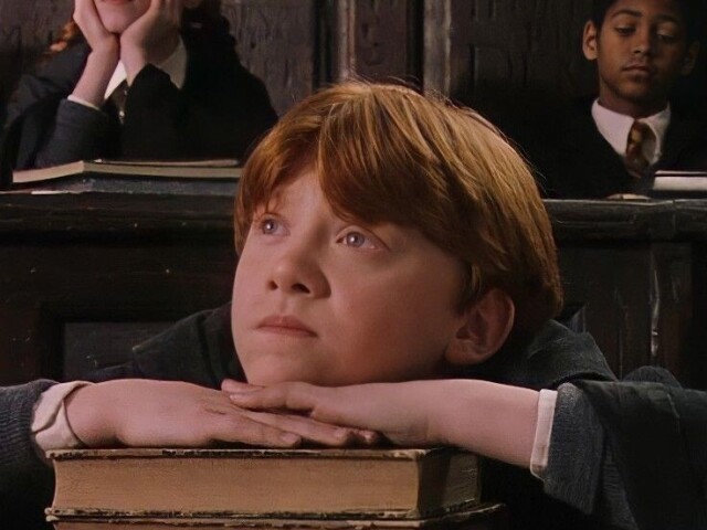 Harry Potter(a saga toda)