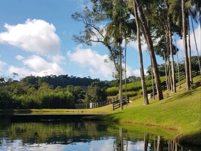 Fui para esse campo brincar correr livre,leve e solta,andar a cavalo e nadar um pouco!