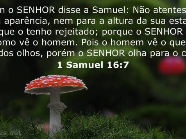 samuel