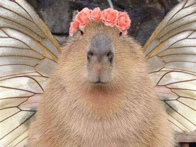 Capybara Fada