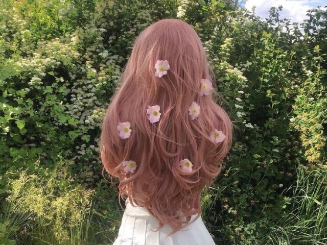 🌸🌱