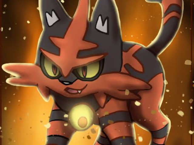 Torracat