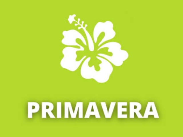 Primavera 🌼